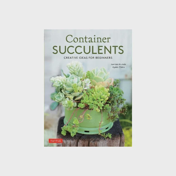 Container Succulents