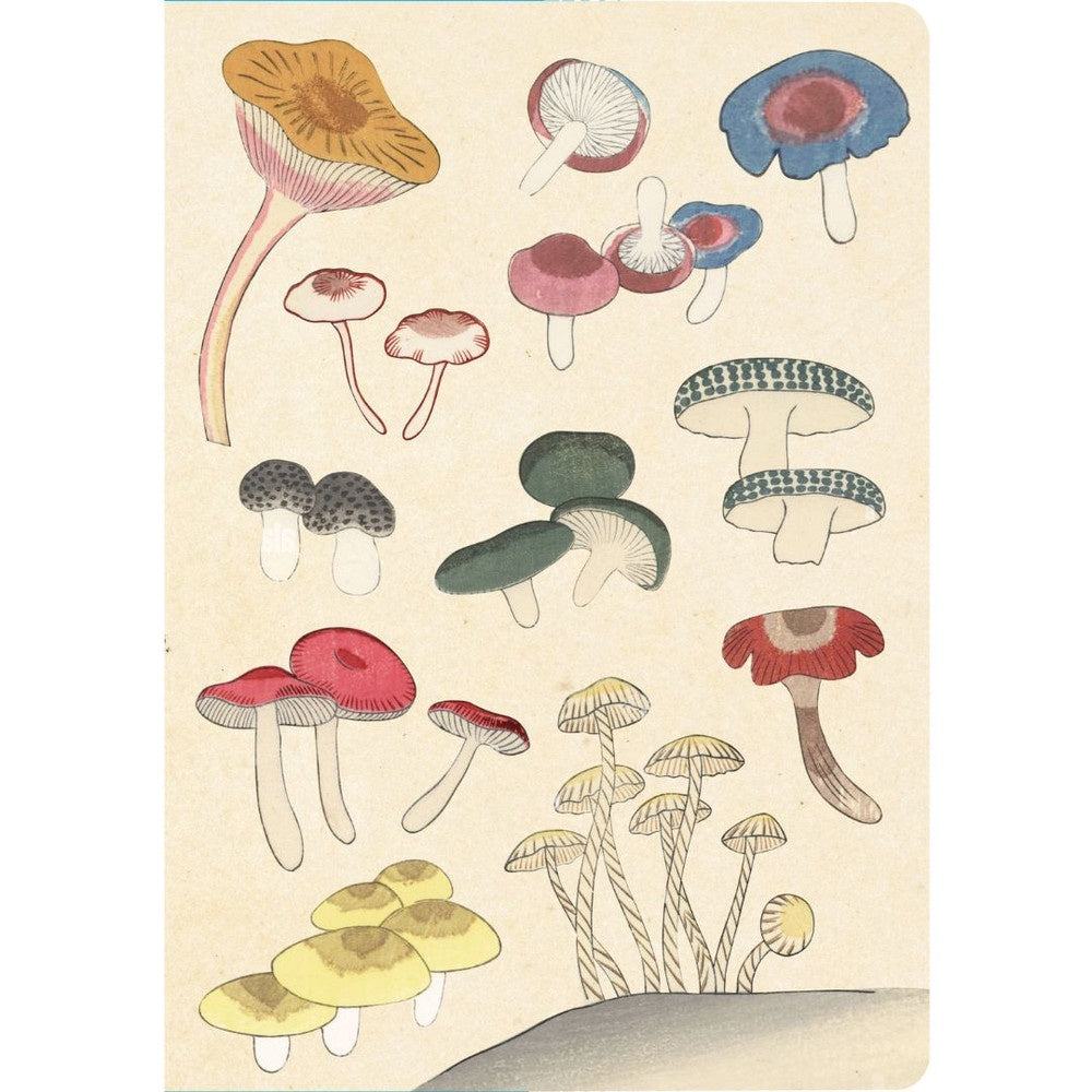 Healing Mushroom Lined Notebook with Pocket