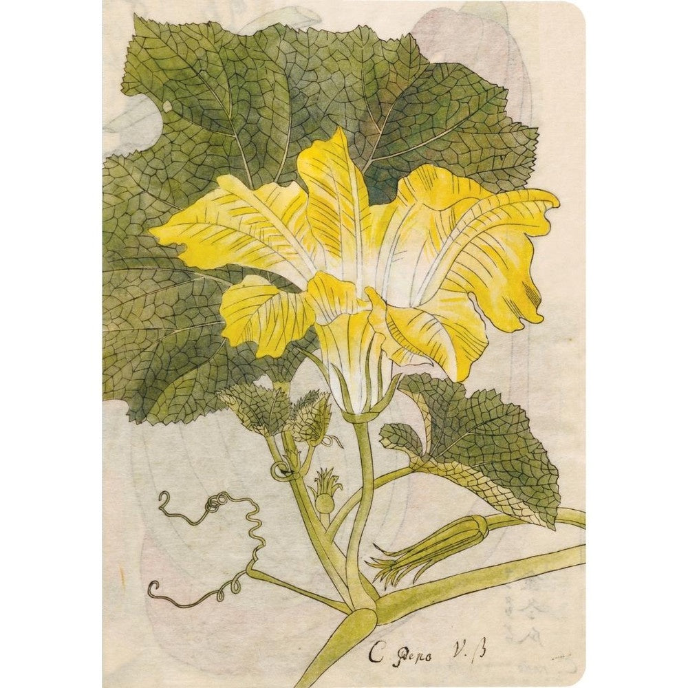 Japanese Squash Blossom Lined Notebook