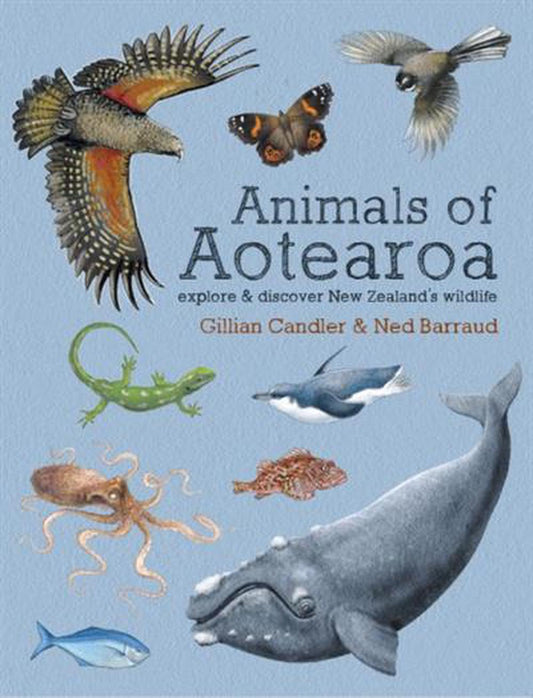 Animals of Aotearoa: Explore & discover New Zealand's wildlife explore and discover new zealand's wildlife By: Gillian Candler Ned Barraud