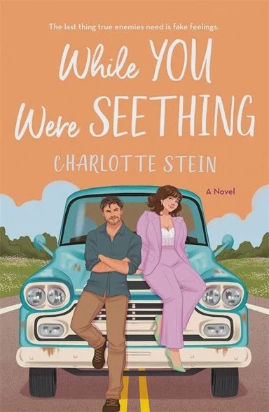 While You Were Seething By Charlotte Stein