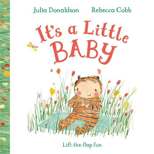 It’s a Little Baby By Julia Donaldson