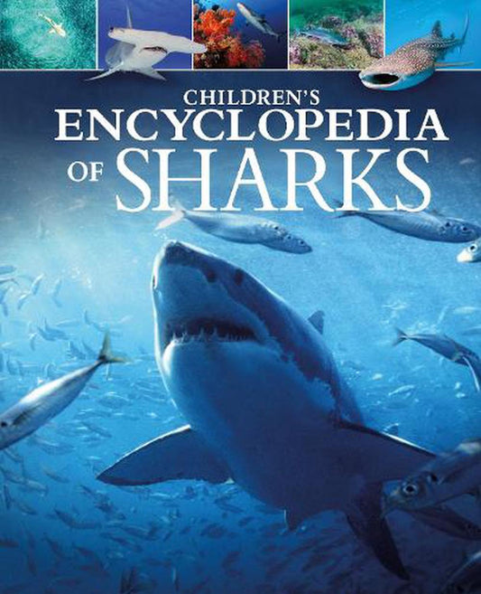 Childrens Encyclopedia Of Sharks