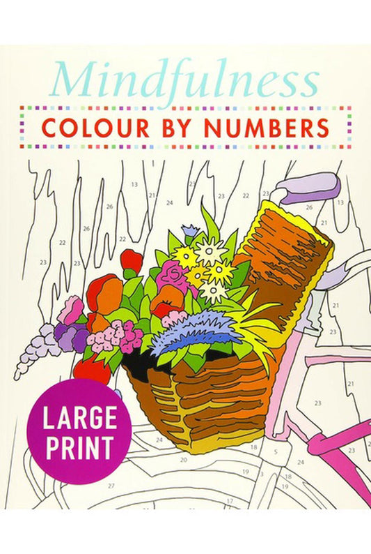 Mindfulness Colour By Numbers Large Pri
