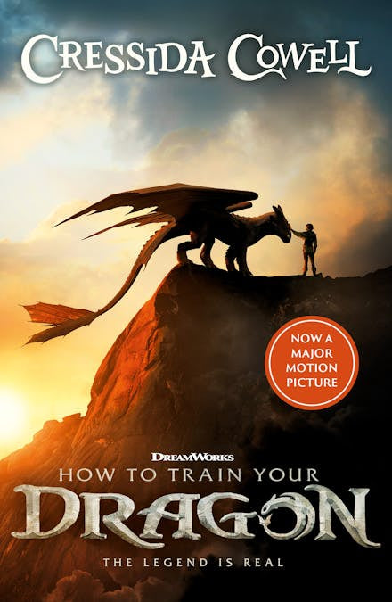 How to Train Your Dragon: Book 1  By Cressida Cowell