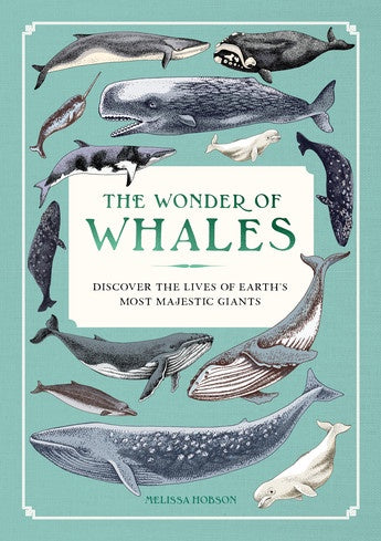 The Wonder of Whales Discover the Lives of Earth's Most Majestic Giants  by Melissa Hobson