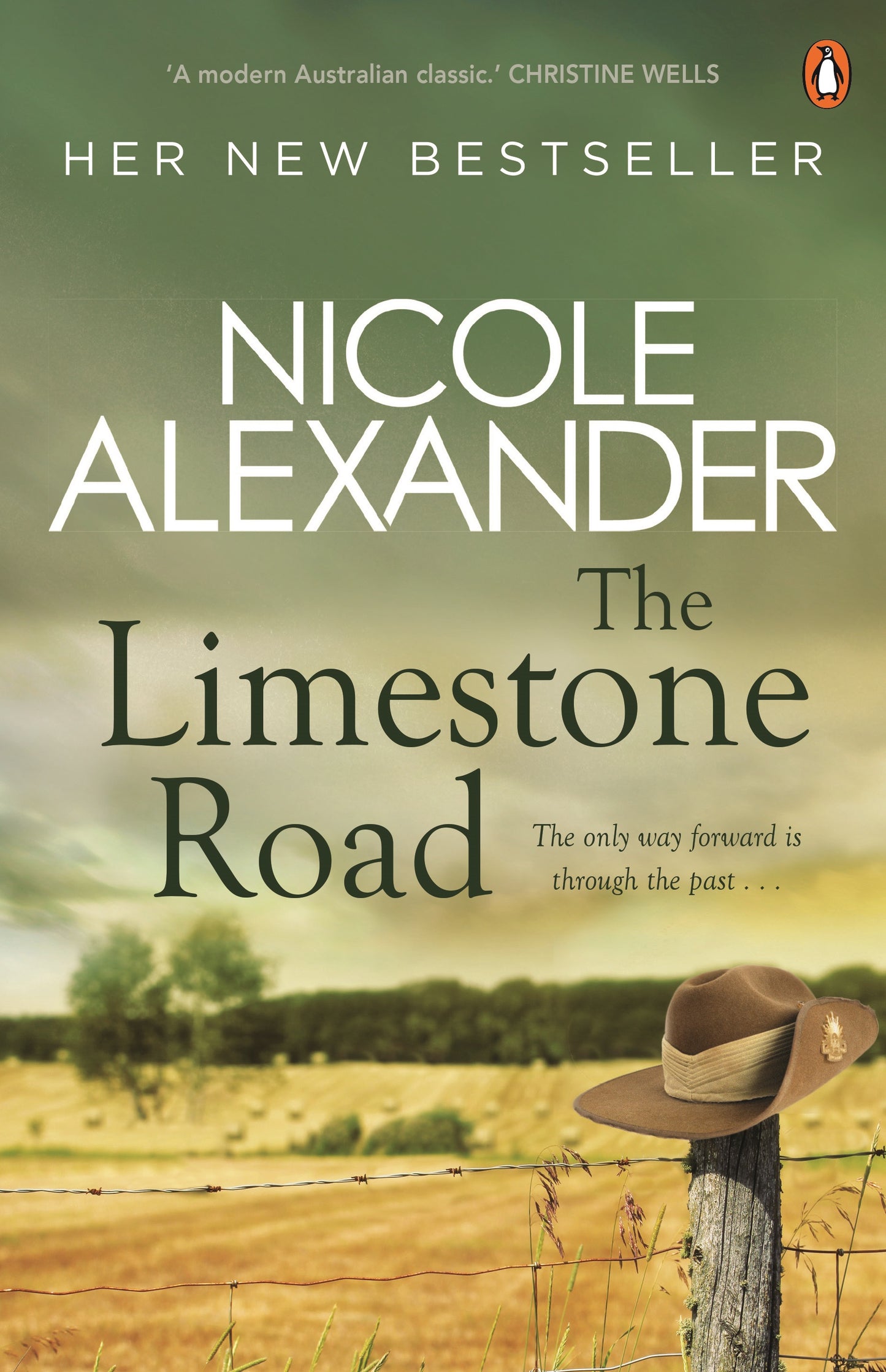 The Limestone Road By Nicole Alexander