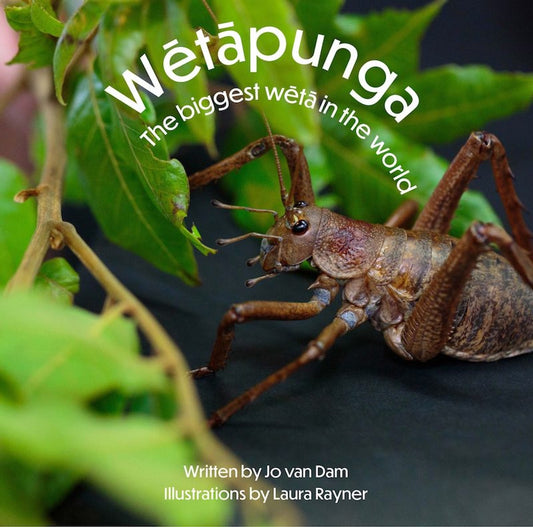 Wetapunga