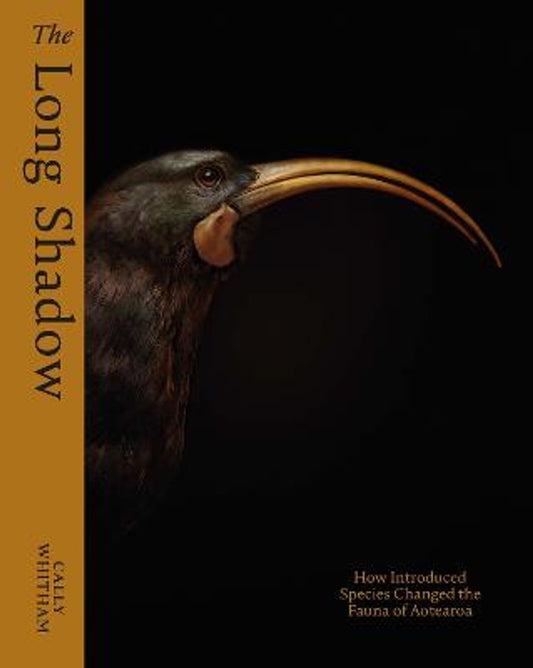The Long Shadow: How Introduced Species Changed the Fauna of Aotearoa
