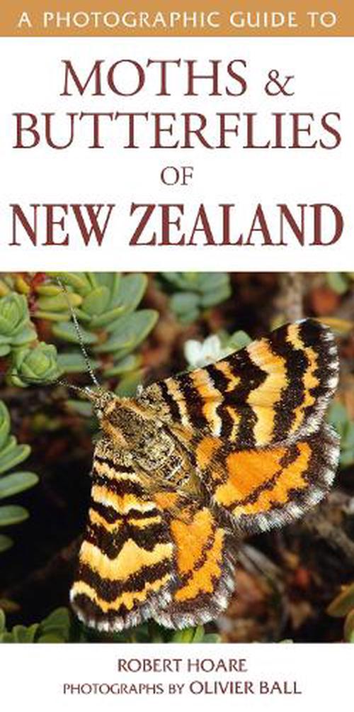 Moths & Butherflies Of Nz