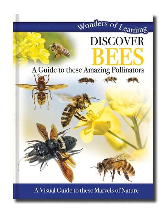 Wonders Of Learning Discover Bees