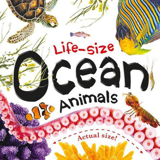 Lifesize: Ocean Animals