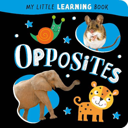 My Little Learning Board Book