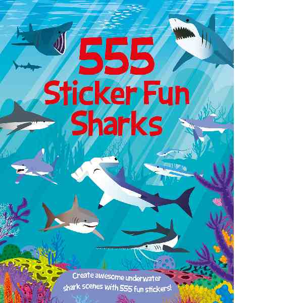 555 Sticker Fun Book