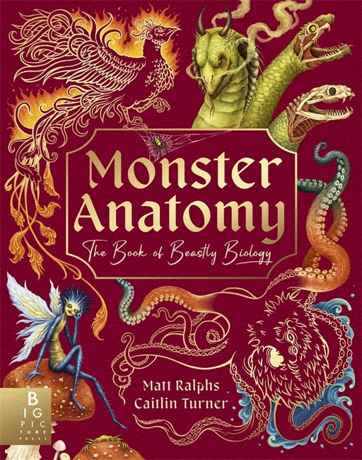 Monster Anatomy An illustrated monster hunter's guide to creatures of mythology, folklore and fantasy  by Matt Ralphs illustrated by Caitlin Turner