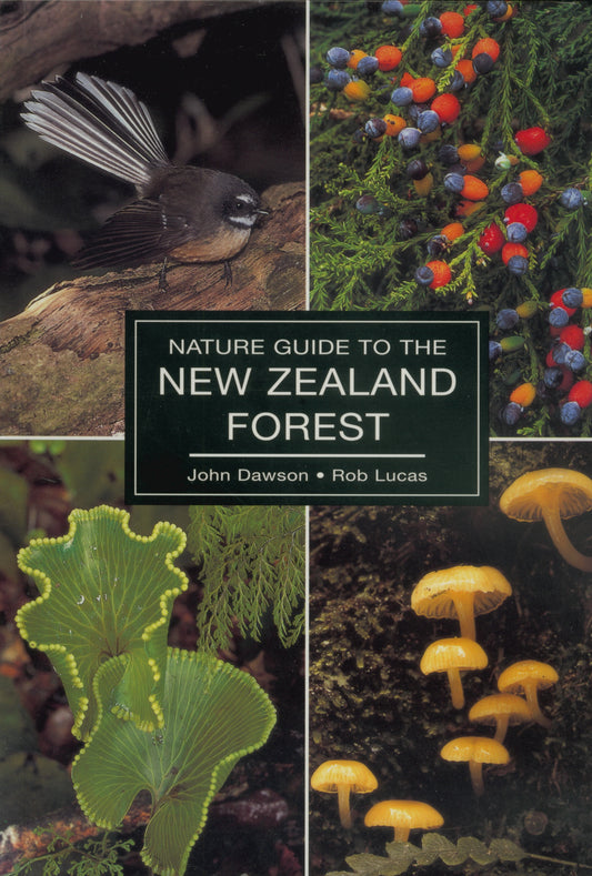 Nature Guide To The New Zealand Forest by John Dawson & Rob Lucas