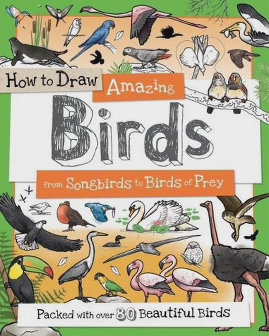 How to Draw Amazing Birds By: Toby Reynolds Fiona Gowen