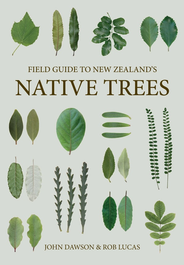 Field Guide to New Zealand's Native Trees