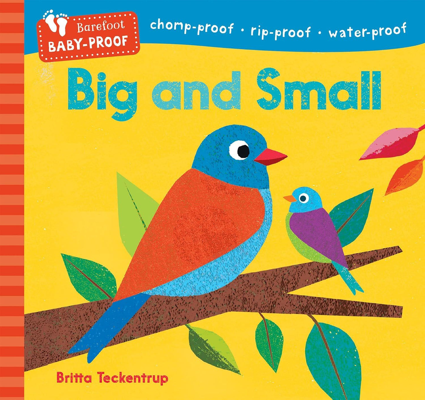 Barefoot Baby Proof Big and Small