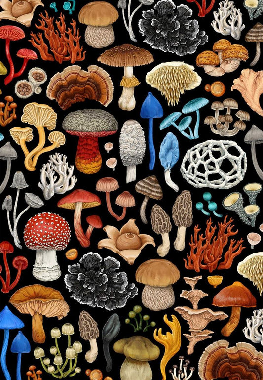 Wolfkamp & Stone - NZ Fungi - Flat Gift Wrap