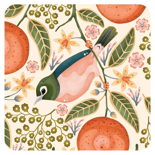 Cream Waxeyes & Mandarins Coaster Box Set of 4