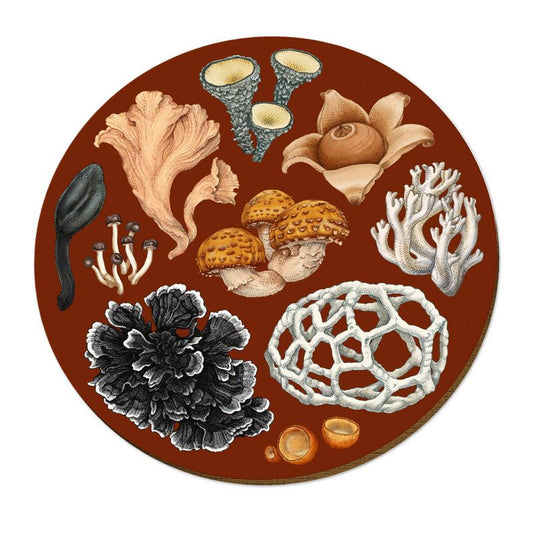 Wolfkamp & Stone - NZ Fungi Phellodon - Placemat