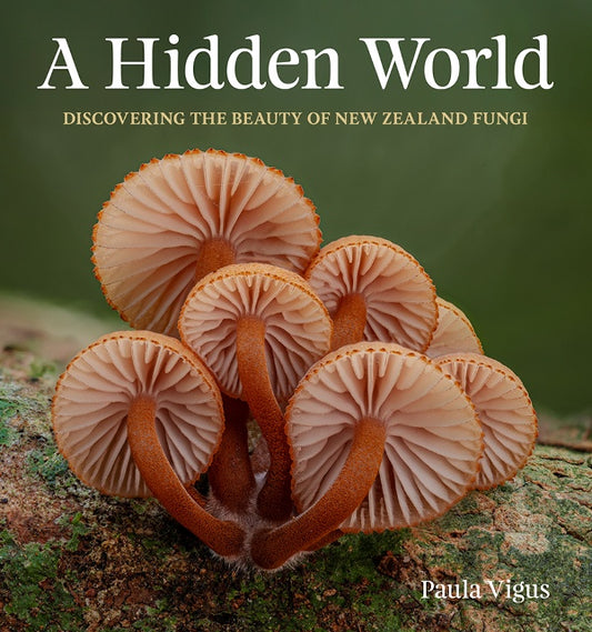 A Hidden World Discovering the beauty of New Zealand fungi Paula Vigus
