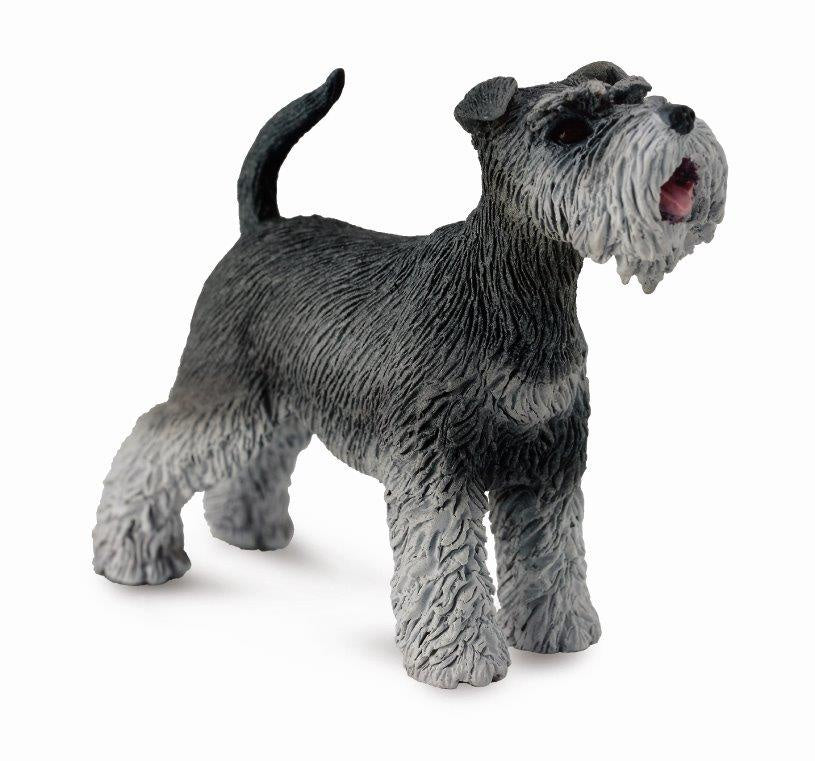 Schnauzer - M (Red)