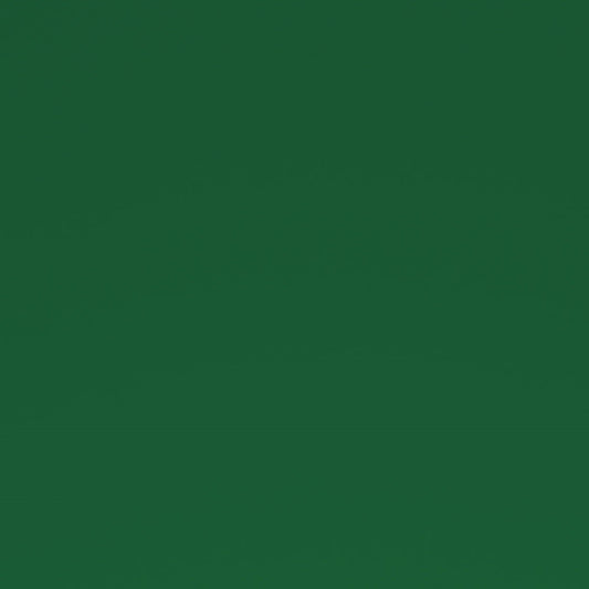 A4 Paper 120gsm Emerald Paris Emboss 20Pce