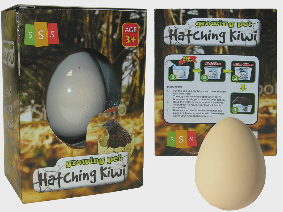 Growing Pet - Hatching Kiwi