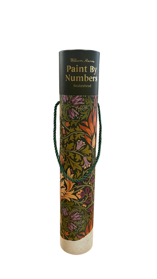 Paint By Numbers Snakeshead In a Tube