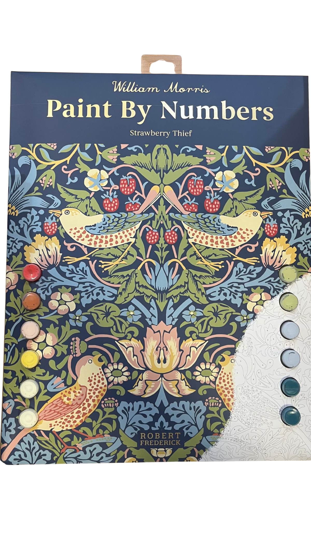 Paint By Numbers Strawberry Thief