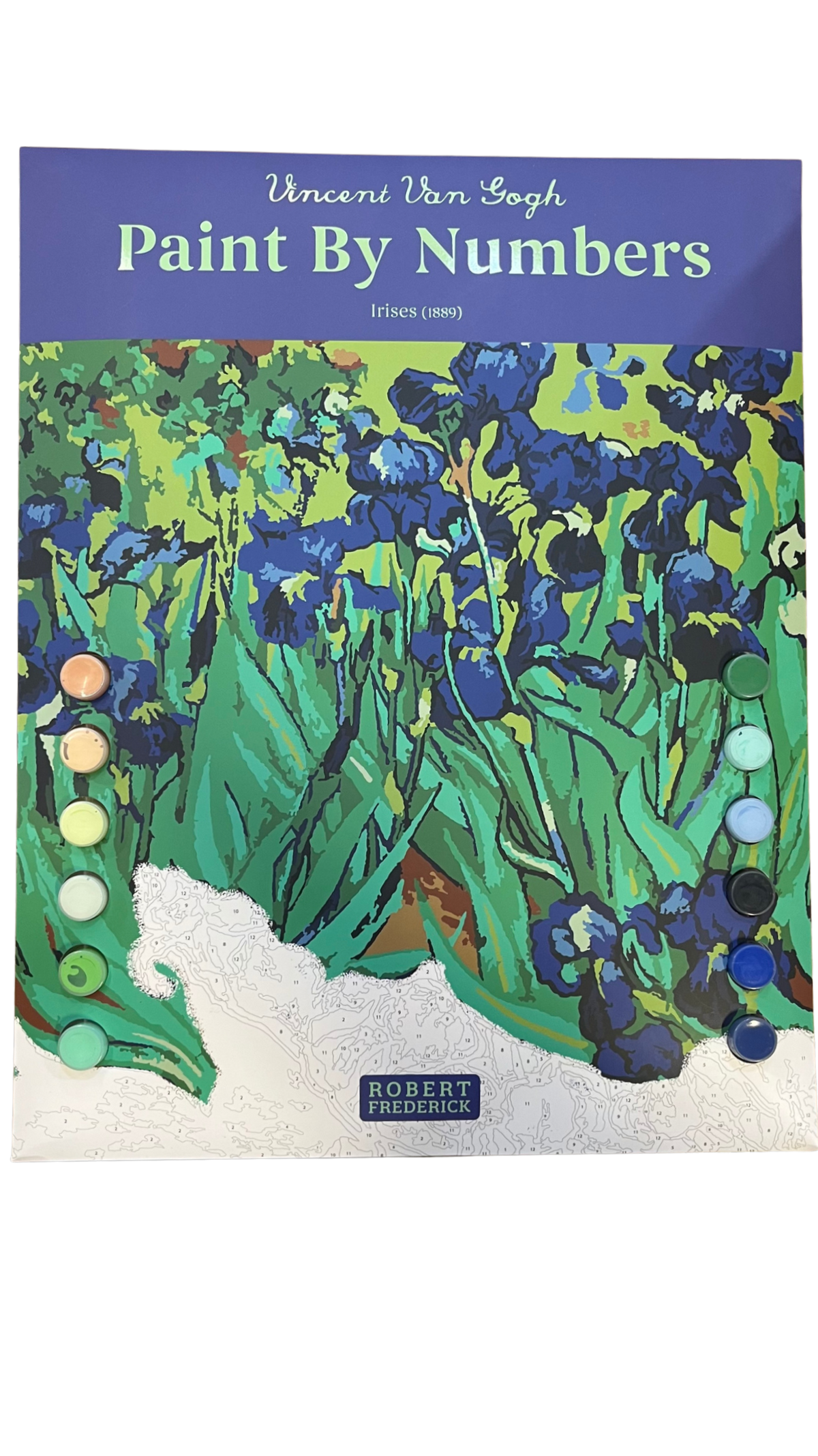 Paint By Numbers Irises
