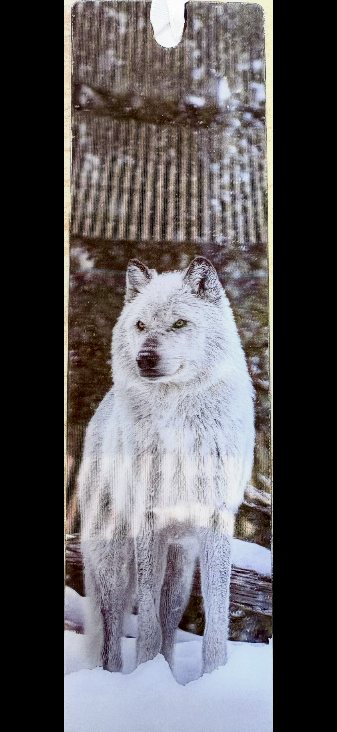 3D Bookmark - Artic Wolf