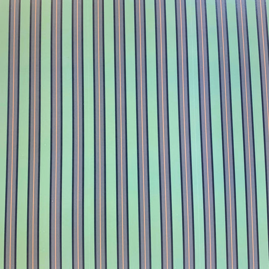 Scrapbook Cardstock- Accent #1D