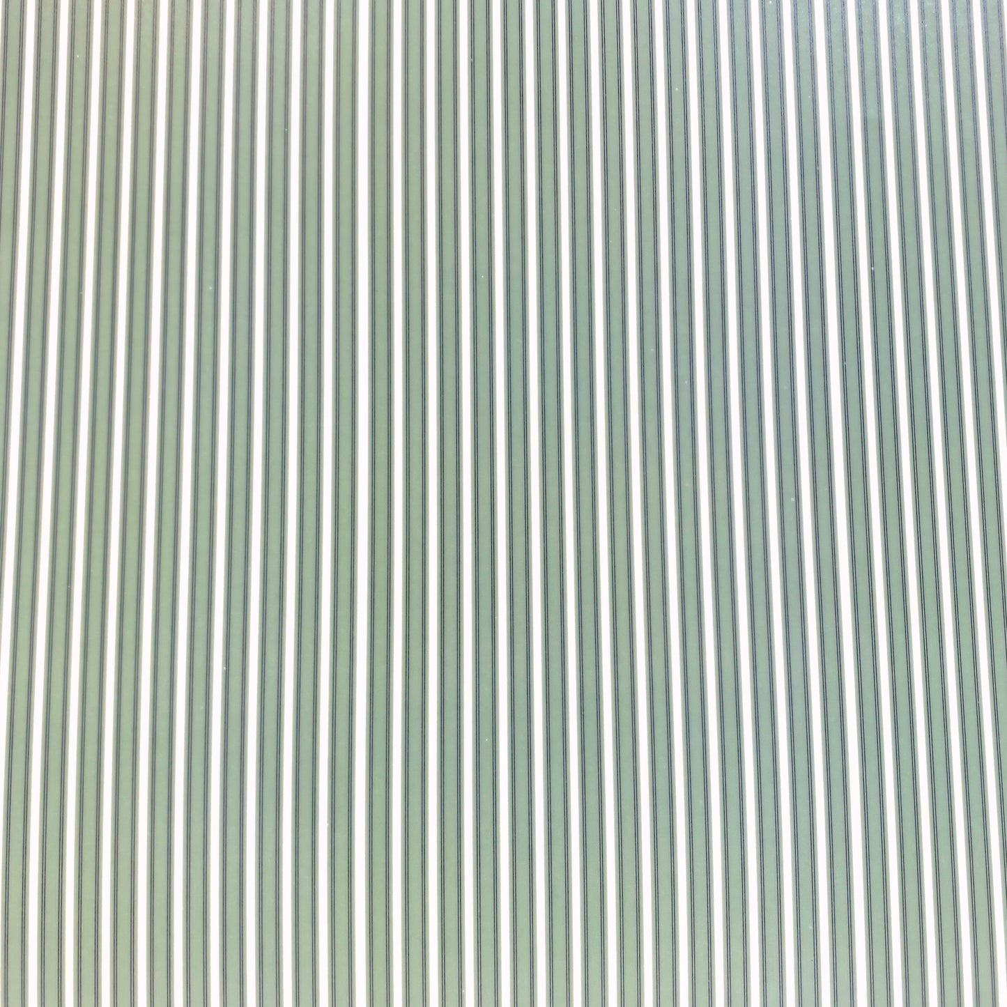 Scrapbook Cardstock -Pattern Accent #1C