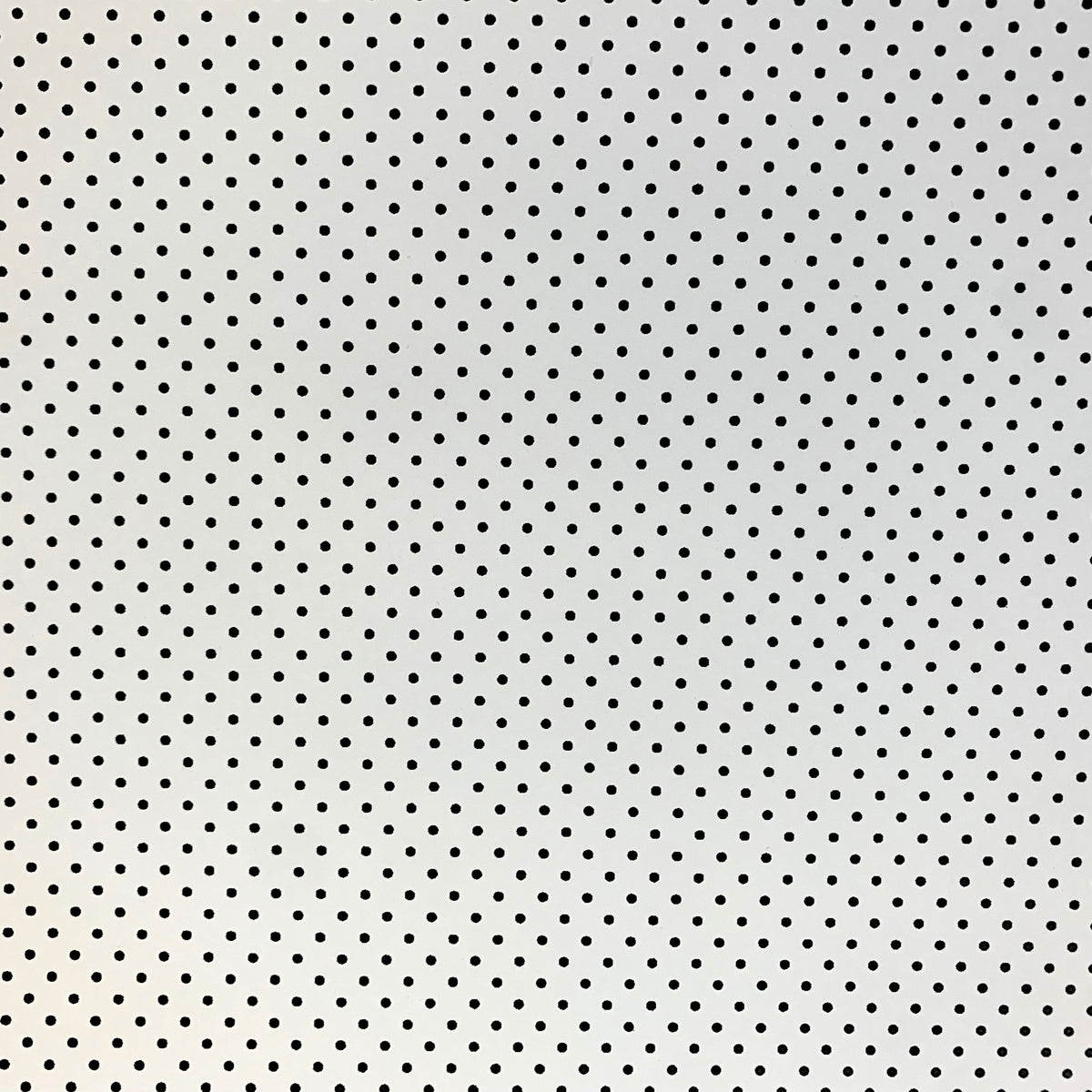 Scrapbook Cardstock -Double Sided Small Dot Black/White
