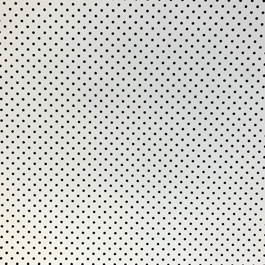Scrapbook Cardstock -Double Sided Small Dot Black/White