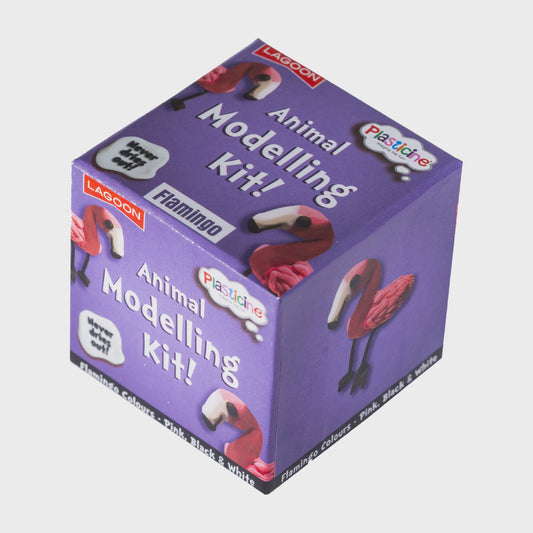 Plasticine Modelling Kit