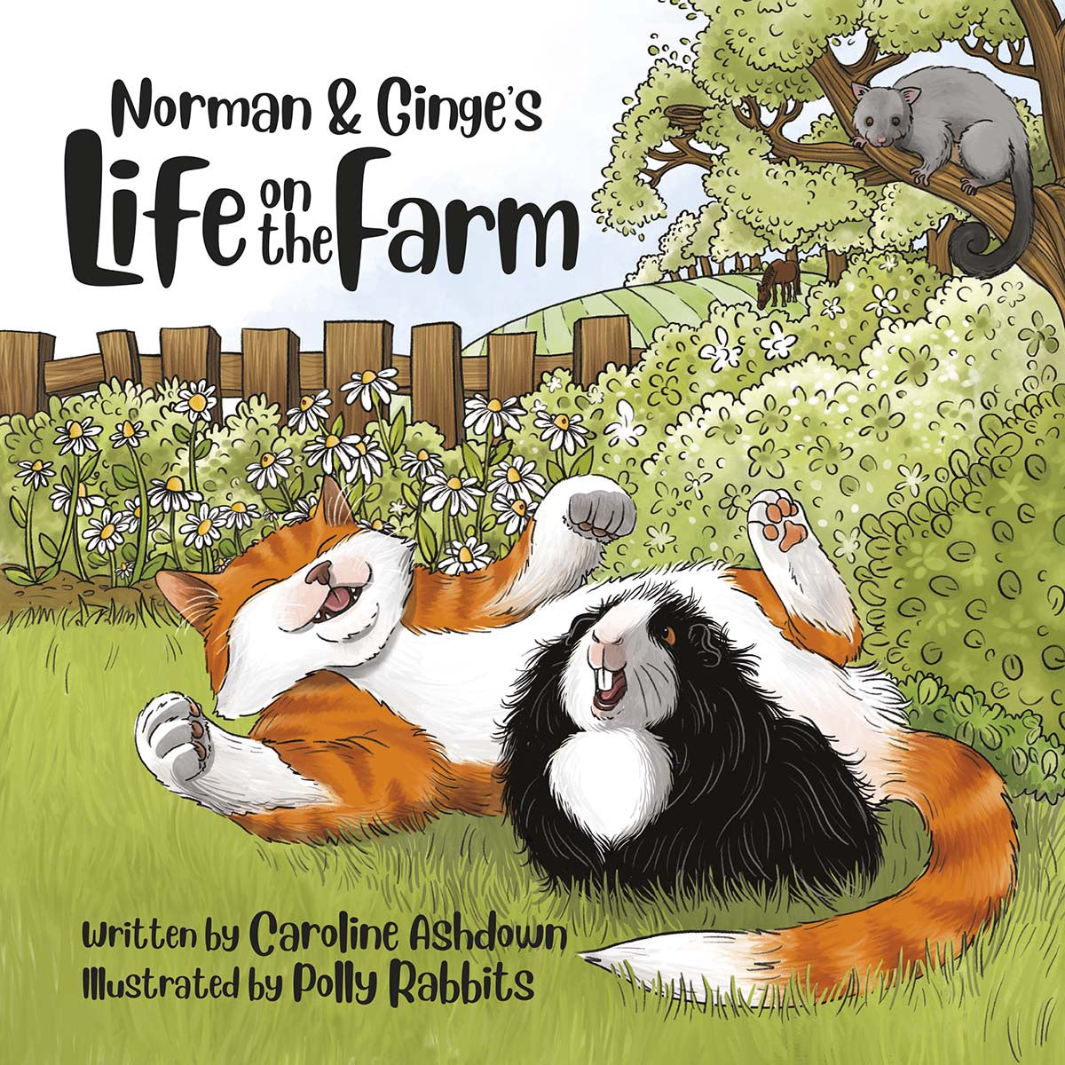 Norman & Ginge’s Life on the Farm By Caroline Ashdown