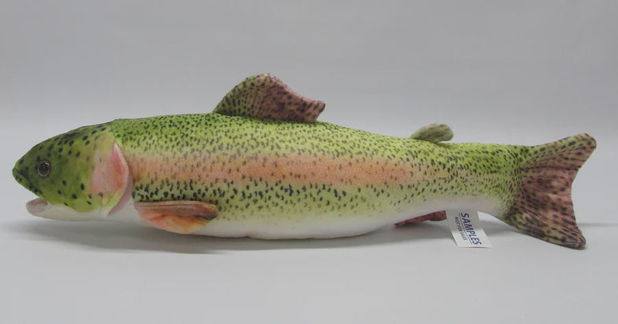Rainbow Trout Soft Toy