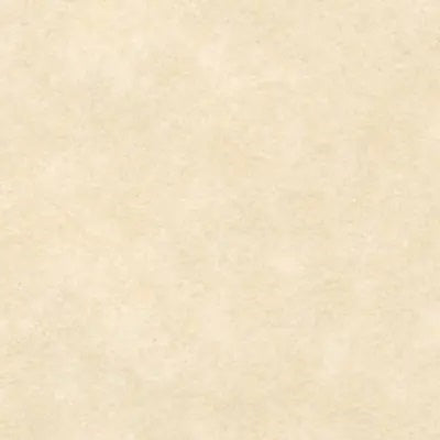 A4 Paper 100gsm  Paper Parchment Nova White 12Pce