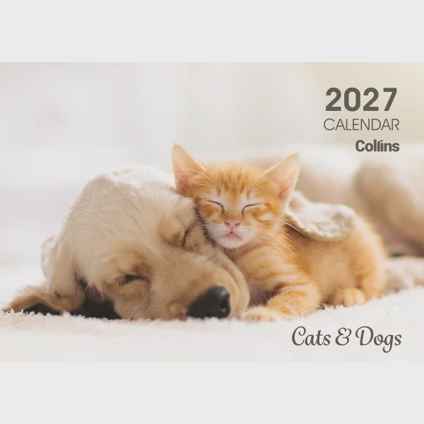 Collins Wall Calendar A4 Cats & Dogs
