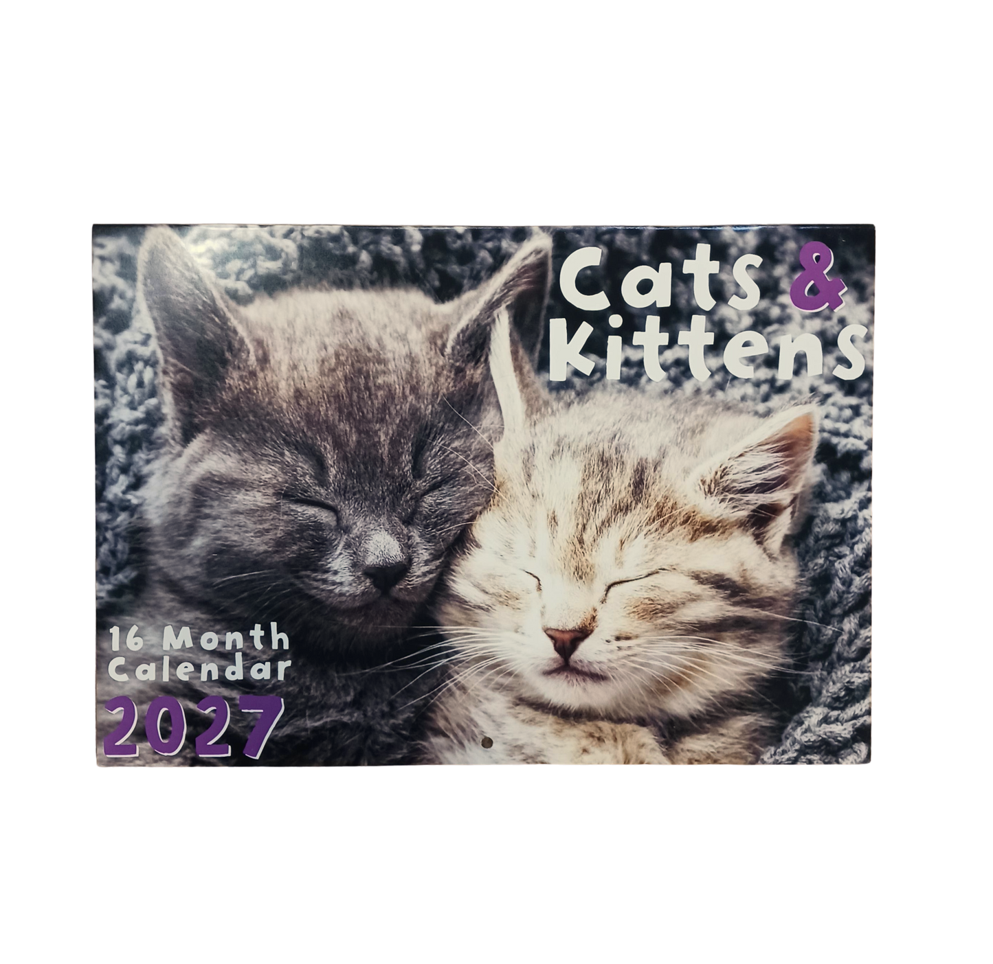 Calendar Rectangle Cat's & Kitten's 2027