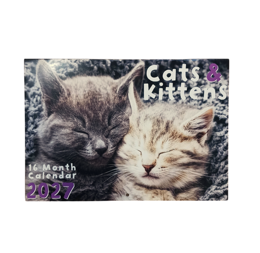 Calendar Rectangle Cat's & Kitten's 2027