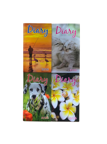 Pocket Diary 2025 90x157mm Assorted