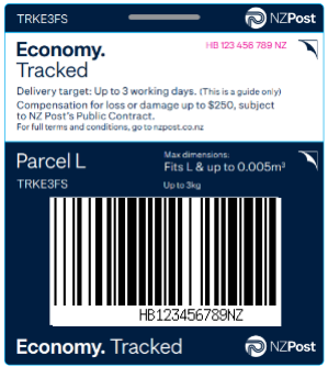 Prepaid Economy Ticket