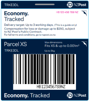 Prepaid Economy Ticket