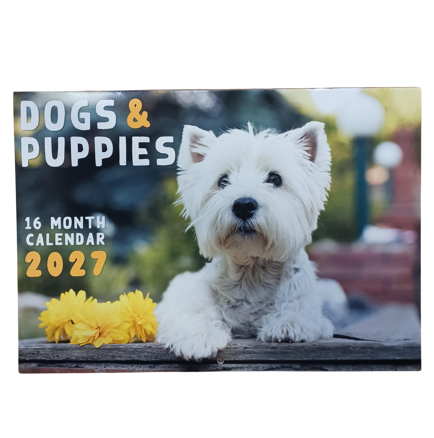Calendar Rectangle Dogs & Puppies 2027