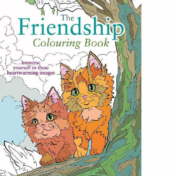 Friendship Colouring